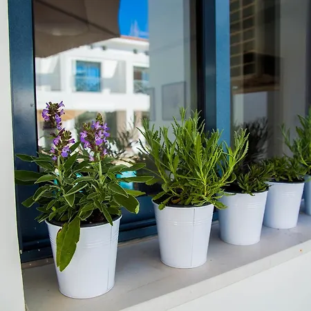 Julipapas Gardens Paphos