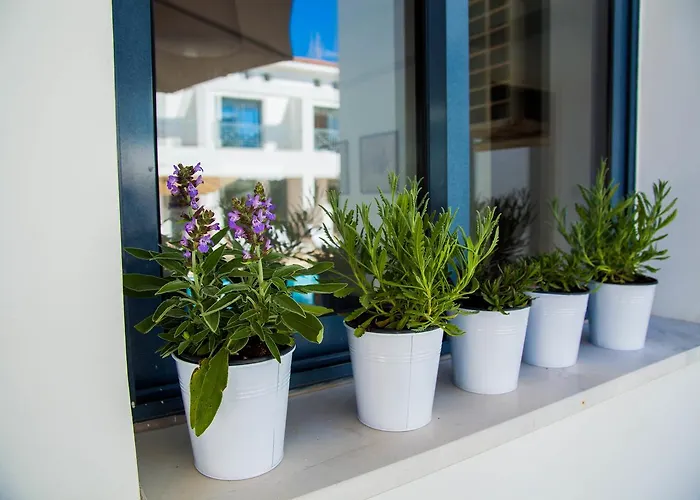 Julipapas Gardens Paphos